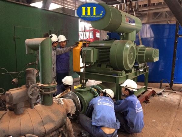 Quạt Thổi Ingersoll Rand (Roots) & Edwards: Giải Pháp Vận Chuyển Khí Toàn Diện Cho Công Nghiệp Nặng 2